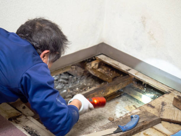 Water Damage Restoration in Conneaut, OH