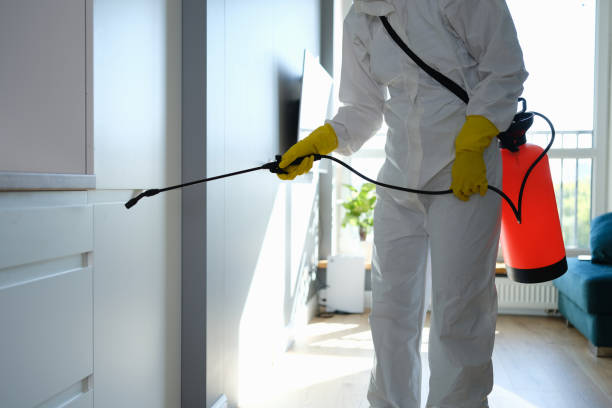Trusted Conneaut, OH Mold Removal Experts